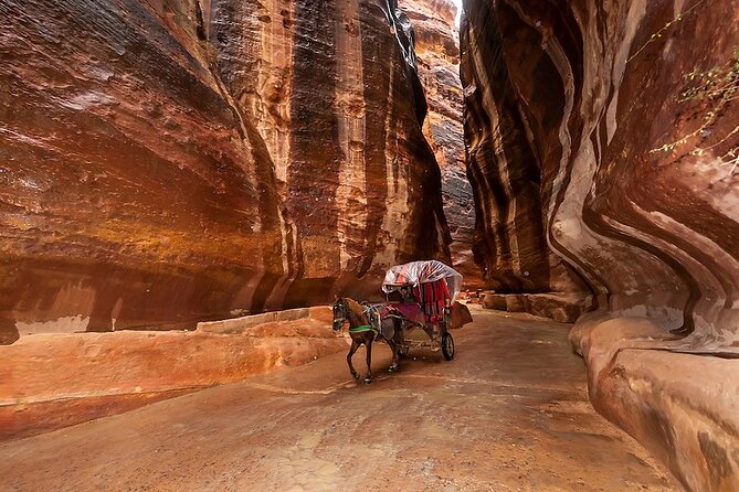 1 Day Tour to Petra From Eilat - Obelisk Tomb, calligraphy, Treasury, and Theater