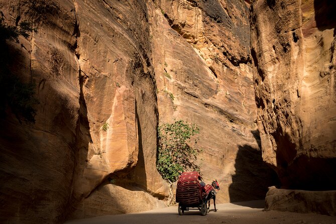 3-Day Petra and Wadi Rum Tour from Tel Aviv - Petra needs your best walking shoes