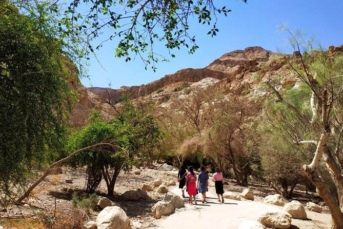 4WD Masada Ein Gedi Judea desert Dead Sea adventure 4x4 Tour. - Food, guiding, and the human side of the day