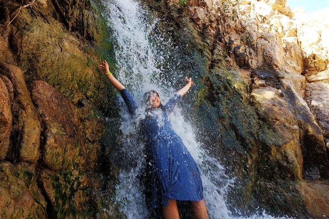 4WD Masada Ein Gedi Judea desert Dead Sea adventure 4x4 Tour. - Walking through Ein Gedi’s waterfalls