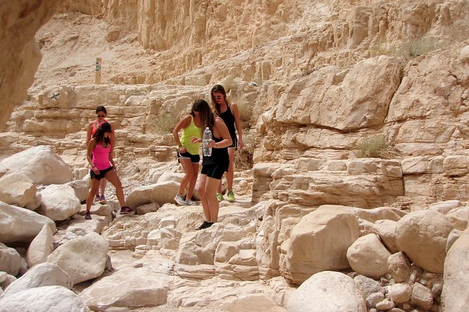 4WD St. George's Monastery Jordan Baptize Dead Sea adventure tour - Wildlife and the feel of the desert