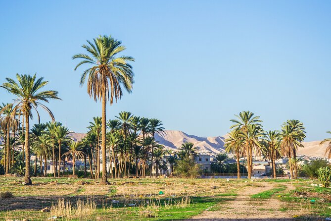 Bethlehem, Jericho & Jordan River Tour from Tel Aviv - Practical advice for making the day better