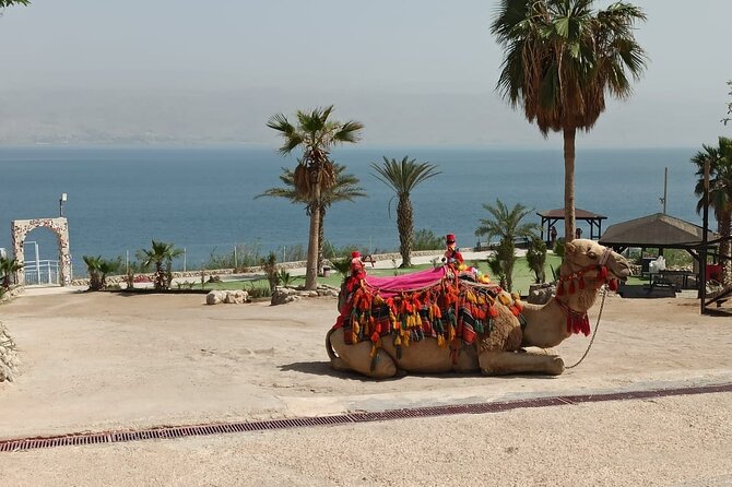 Bethlehem & The Dead Sea Full Day Tour from Jerusalem/TLV - Why this Bethlehem and Dead Sea pairing works
