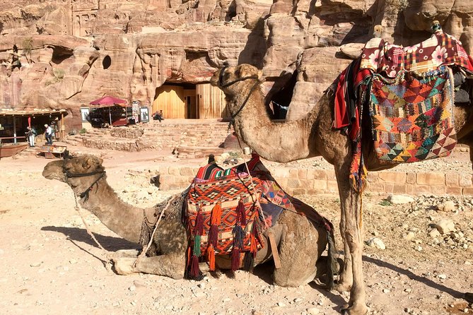 Day Tour to Petra by Bus from Tel Aviv - What this Petra day trip really delivers
