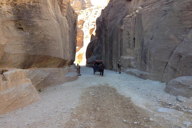Day Tour to Petra by Bus from Tel Aviv - Reaching Petra and the first view of the Treasury