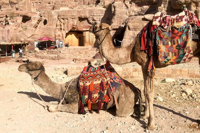 Day Tour to Petra from Eilat - Entering Petra through the Siq