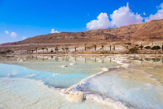 Desert Safari and Dead Sea Day Trip from Jerusalem - Group size, comfort, and the pace of the day