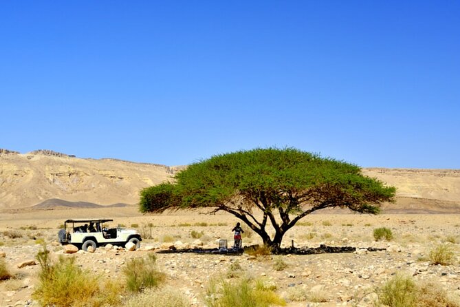 Desert Safari and Dead Sea Day Trip from Tel Aviv - The Sea Level 0 stop and the Qumran Caves
