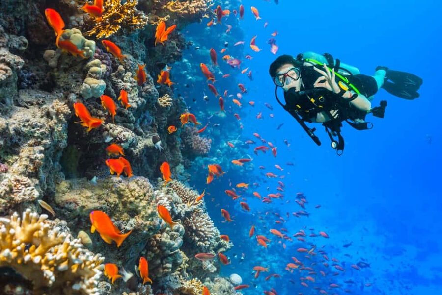 Eilat: Intro to Diving with Certified Instructor - Why the instructor matters on a first attempt