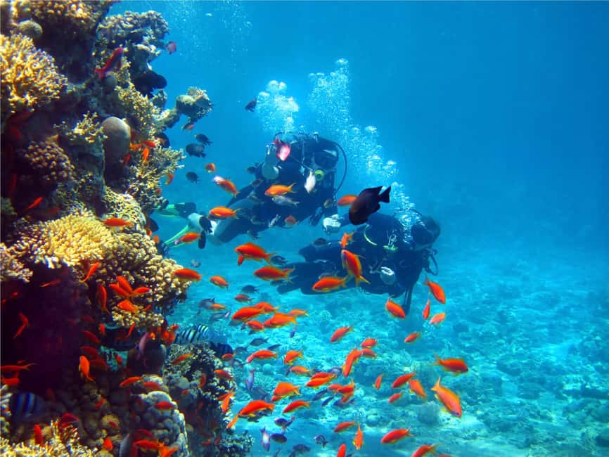 Eilat: Intro to Diving with Certified Instructor - Who should book this short scuba session