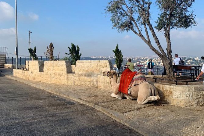 Explore Jerusalem's Old City - The Muslim Quarter and the Cotton Market