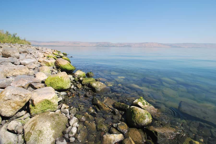 From Haifa: Guided Day Trip to Nazareth and Sea of Galilee - The Sea of Galilee from the Mount of Beatitudes