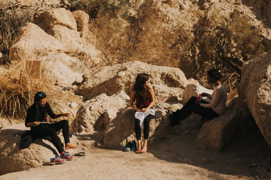 From Jerusalem: Masada at Sunrise, Ein Gedi & Dead Sea Tour - The Dead Sea: strange, relaxing, and not a normal swim