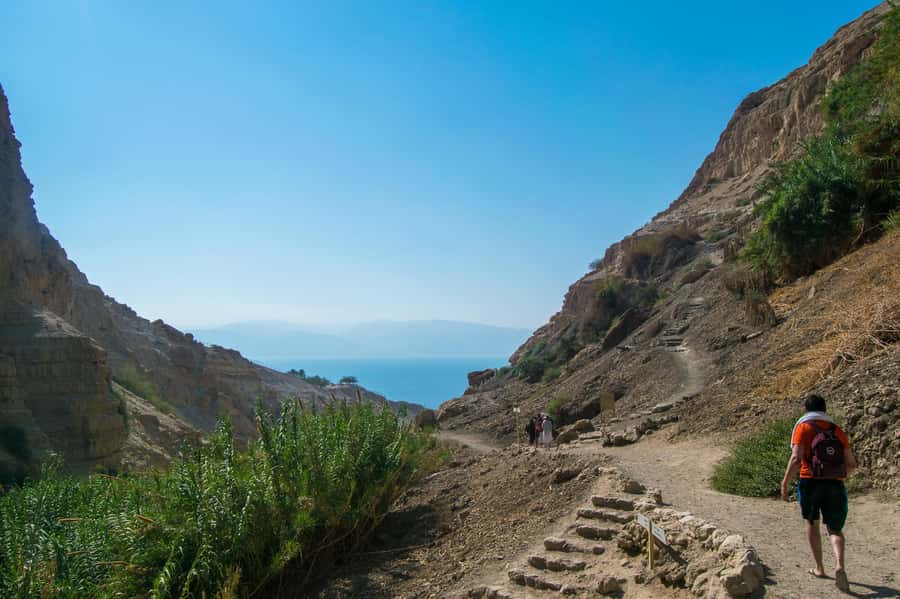 From Jerusalem: Masada at Sunrise, Ein Gedi & Dead Sea Tour - The balance between company and independence