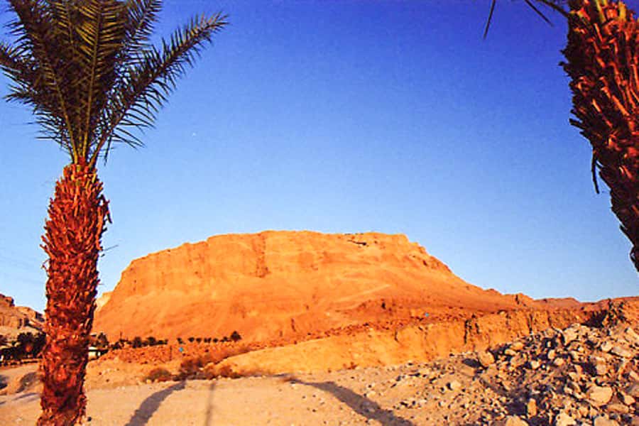 From Jerusalem: Masada&Dead Sea Tour INCLUDING ENTRANCE FEES - Transport, group pace, and the value of a guided day