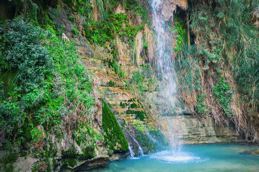 From Jerusalem: Masada Sunrise, Ein Gedi & Dead Sea Day Trip - The bus ride and pace of the morning