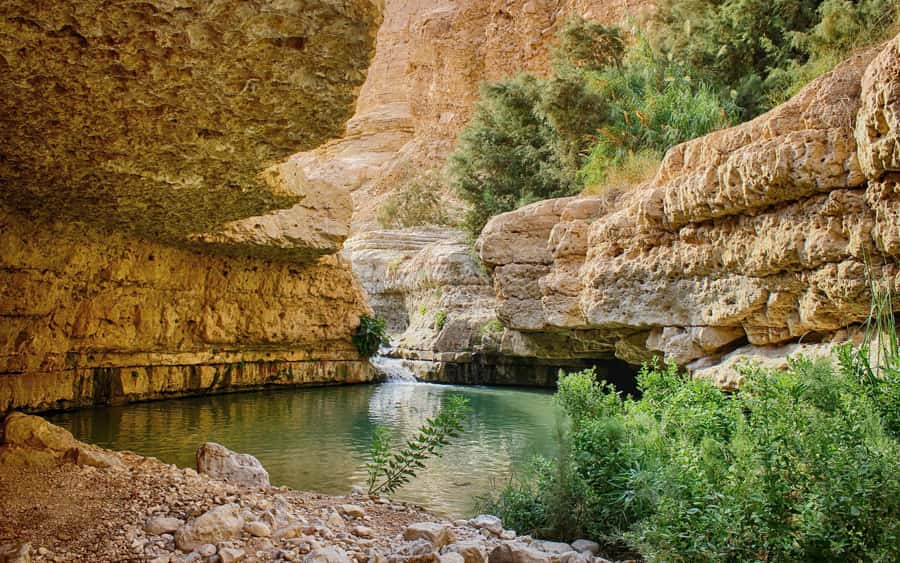 From Jerusalem: Masada Sunrise, Ein Gedi & Dead Sea Day Trip - Climbing Masada before sunrise