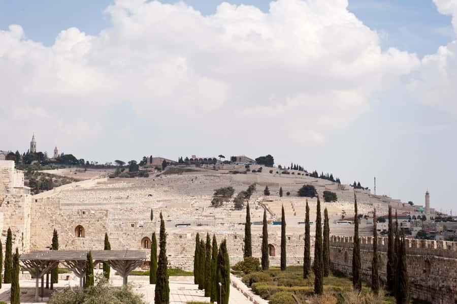 From Jerusalem: Old City & Dead Sea Full-Day Tour - Key points at a glance
