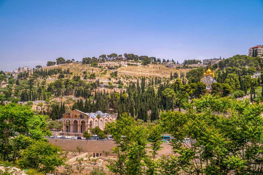 From Jerusalem Small group tour Old&New City ENTRY FEES INCL - Ein Karem gives the morning a quieter start