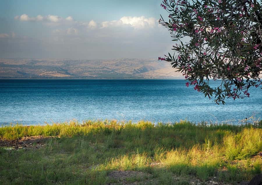 From Tel Aviv: Christian Galilee and Nazareth Day Trip - Capernaum’s synagogue and St. Peter’s house