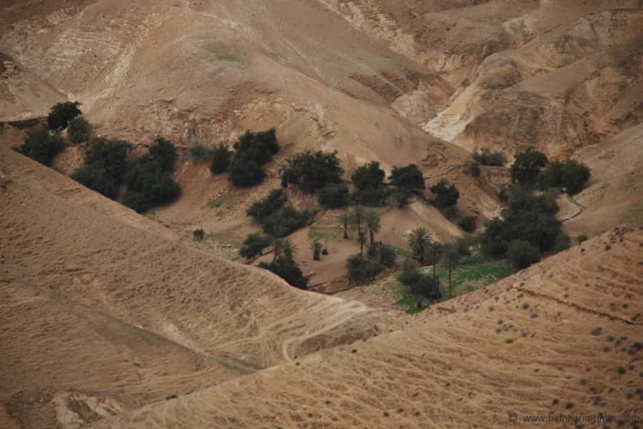 From Tel Aviv: Dead Sea Visit & Desert Safari - Key points to know before booking
