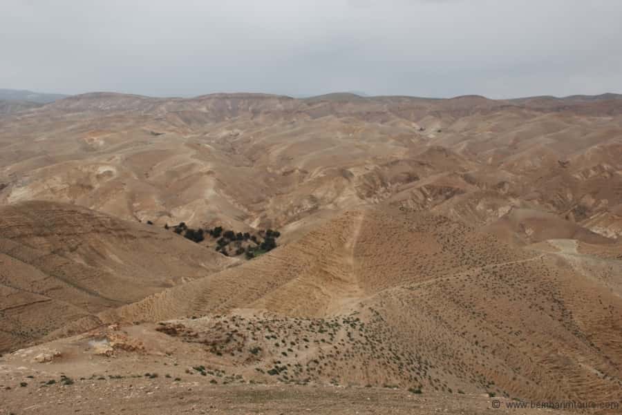 From Tel Aviv: Dead Sea Visit & Desert Safari - From Tel Aviv to the Biblical wilderness