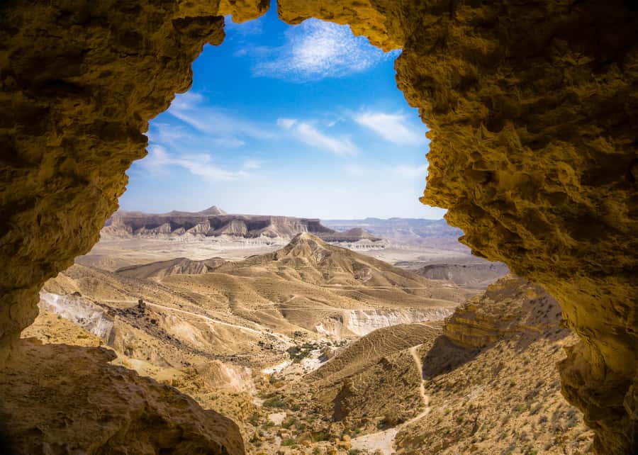 From Tel Aviv: Dead Sea Visit & Desert Safari - Who will enjoy this trip most