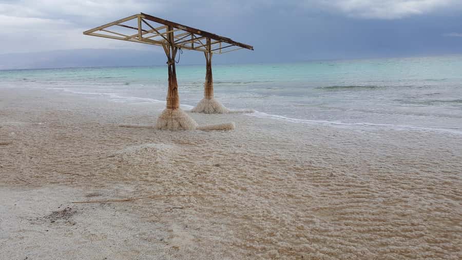 From Tel Aviv: Full-Day Dead Sea Relaxation Tour - Floating at the resort beach