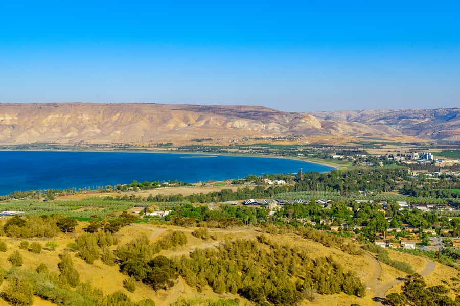 From Tel Aviv: Golan Heights Tour - Katzrin’s ancient village and synagogue
