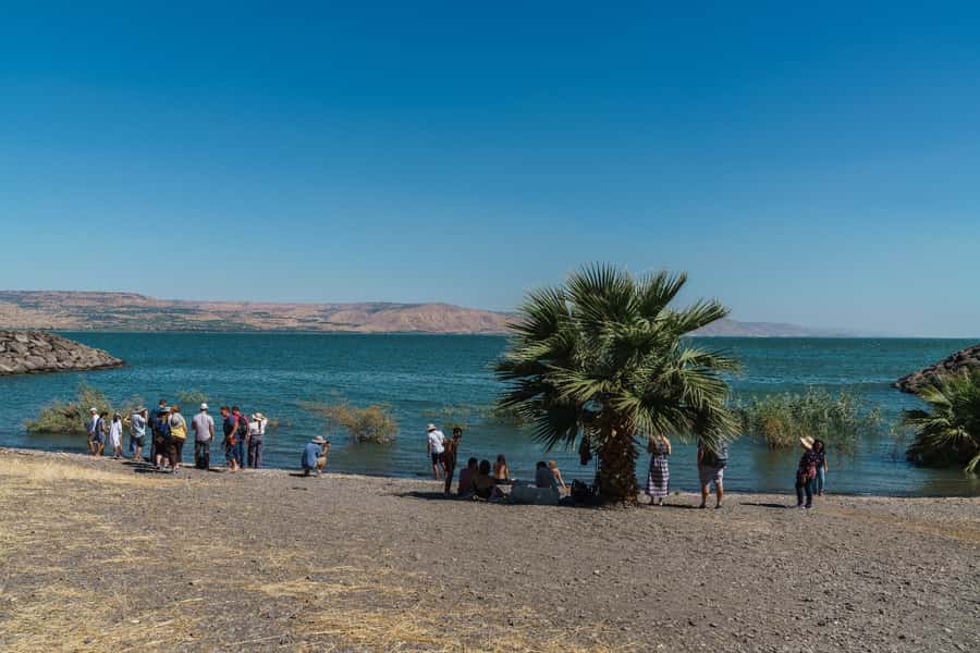 From Tel Aviv: Guided Day Trip to Nazareth & Sea of Galilee - Capernaum and the ancient synagogue