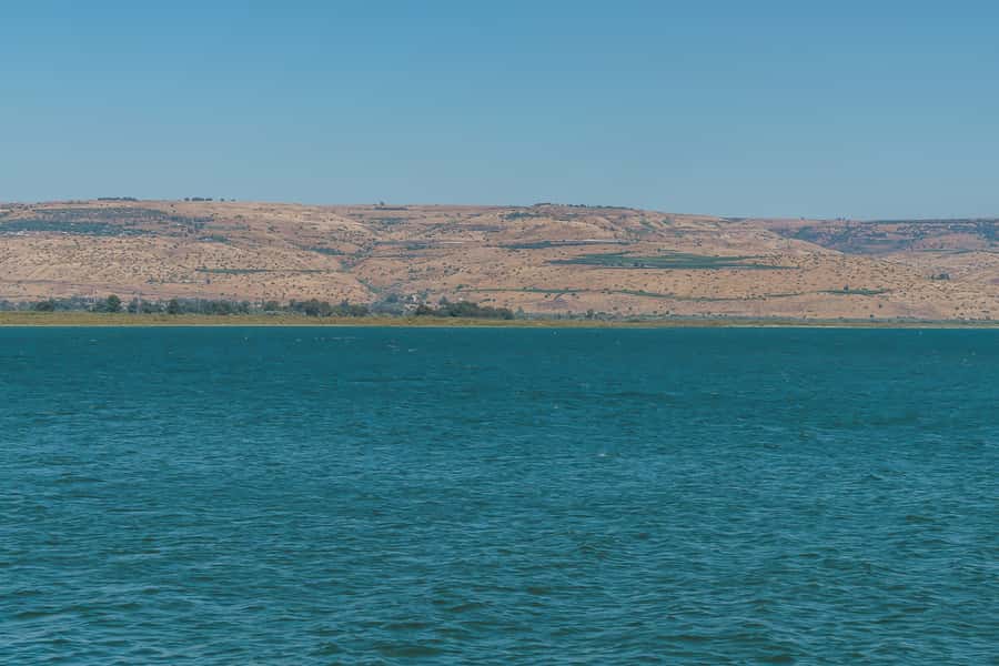 From Tel Aviv: Magdala, Mount of Beatitudes, and Cana Tour - Key points to know before booking