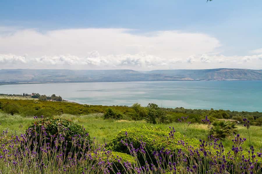 From Tel Aviv: Magdala, Mount of Beatitudes, and Cana Tour - Who will enjoy this day most