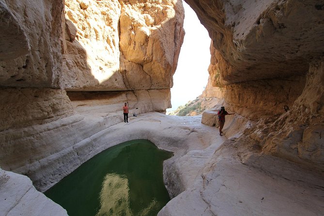 From Tel Aviv: Masada, Ein Gedi and Dead Sea - Guides, drivers, and the public-tour experience