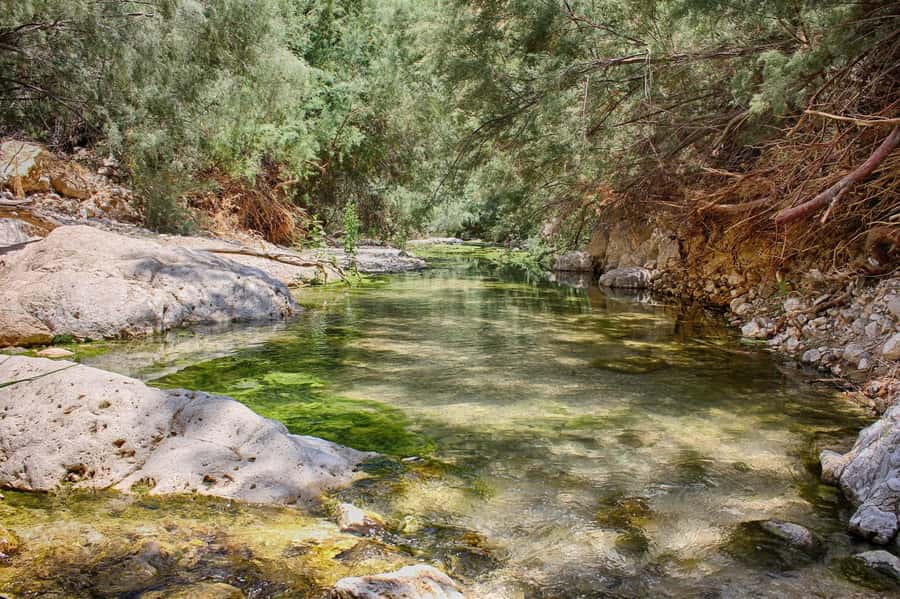 From Tel Aviv: Masada, Ein Gedi & Dead Sea Tour - The Dead Sea, a short and unusual swim