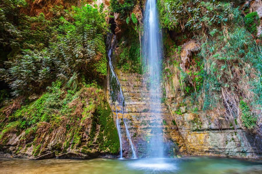 From Tel Aviv: Masada, Ein Gedi & Dead Sea Tour - Should you book it?