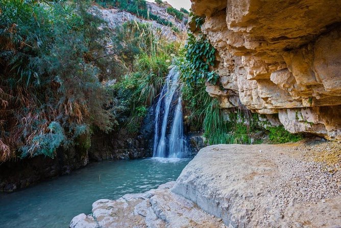 From Tel Aviv: Masada Sunrise, Ein Gedi & Dead Sea - Ein Gedi turns the desert green