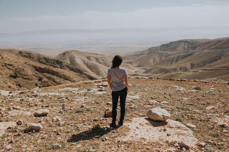 From Tel Aviv: West Bank Day Tour - Why this West Bank route is worth your time