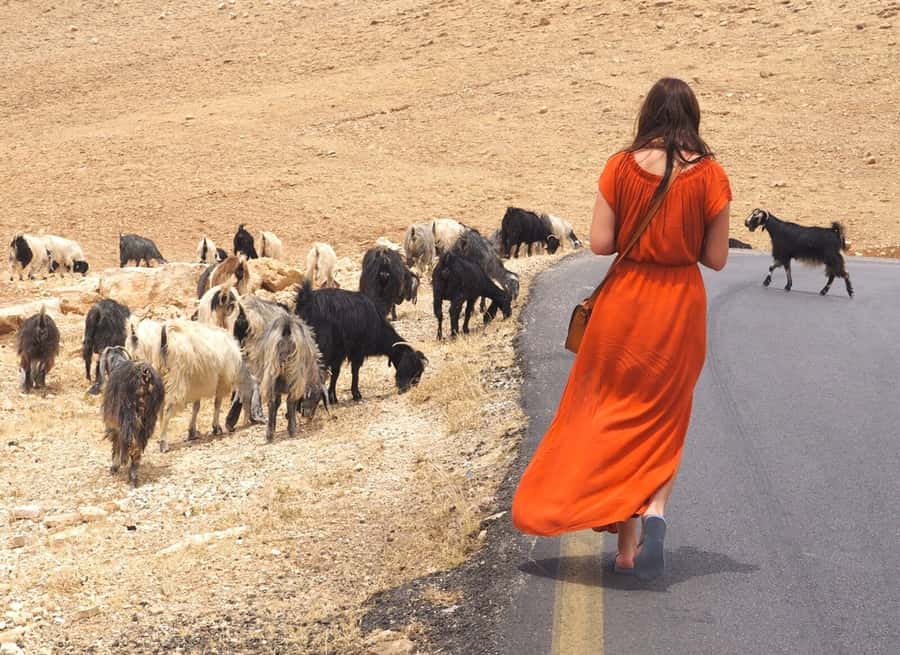 From Tel Aviv: West Bank Day Tour - The guide makes or breaks this long day