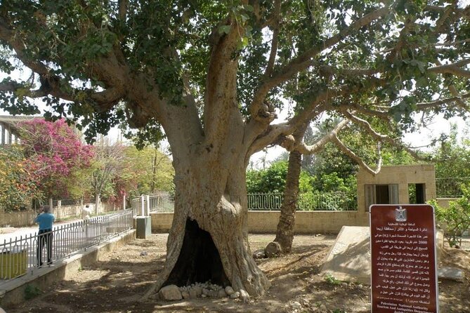 FullDay Bethlehem Jericho Guided Tour From Jerusalem -small group - What the $150 price really includes