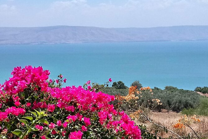 Galilee Day Tour - Key things to know before booking