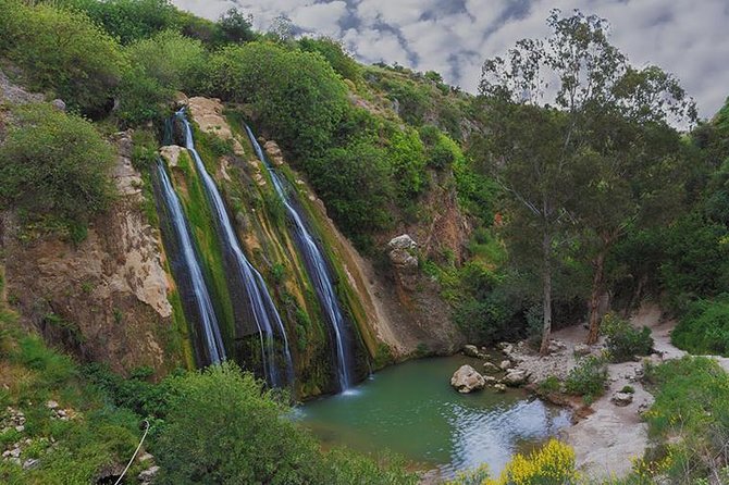 GoKEDEM Golan Heights ATV Action & Wine-Tasting Tour From Tel Aviv - Key points to know before booking