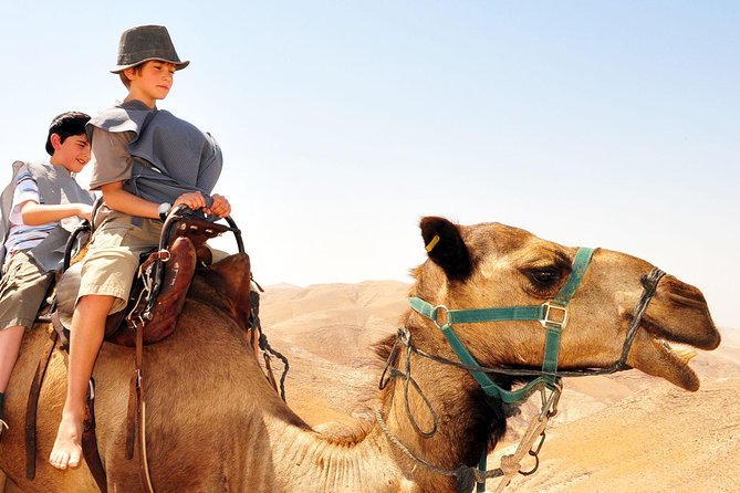 GoKEDEM Masada, DeadSea Camel Ride & Beduin Feast Tour From Tel Aviv - The road from Tel Aviv to the desert