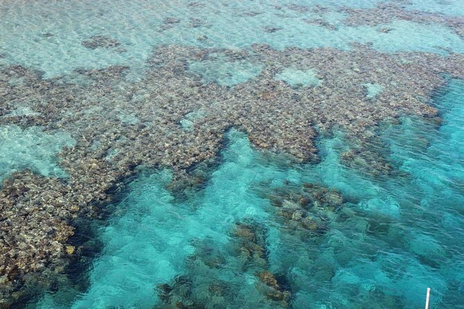 Introductory Dive in Eilat - Entering the Red Sea from an Eilat beach