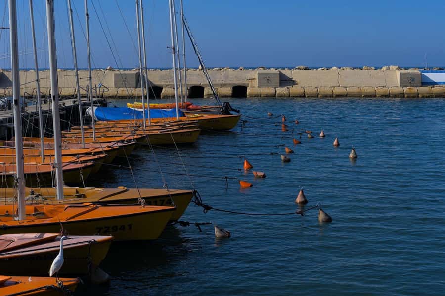 Jaffa: Old City, Port & Shuk Hapishpishim Walking Tour - Finishing at the 3,000-year-old port