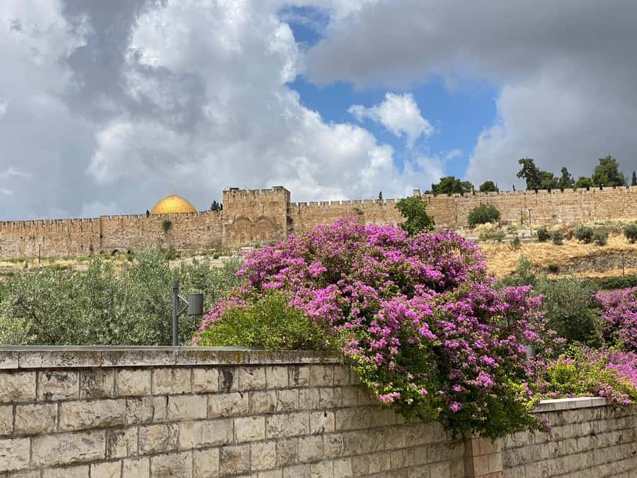 Jerusalem: 3–Hour Old City Tour in French - Key points to know before you book