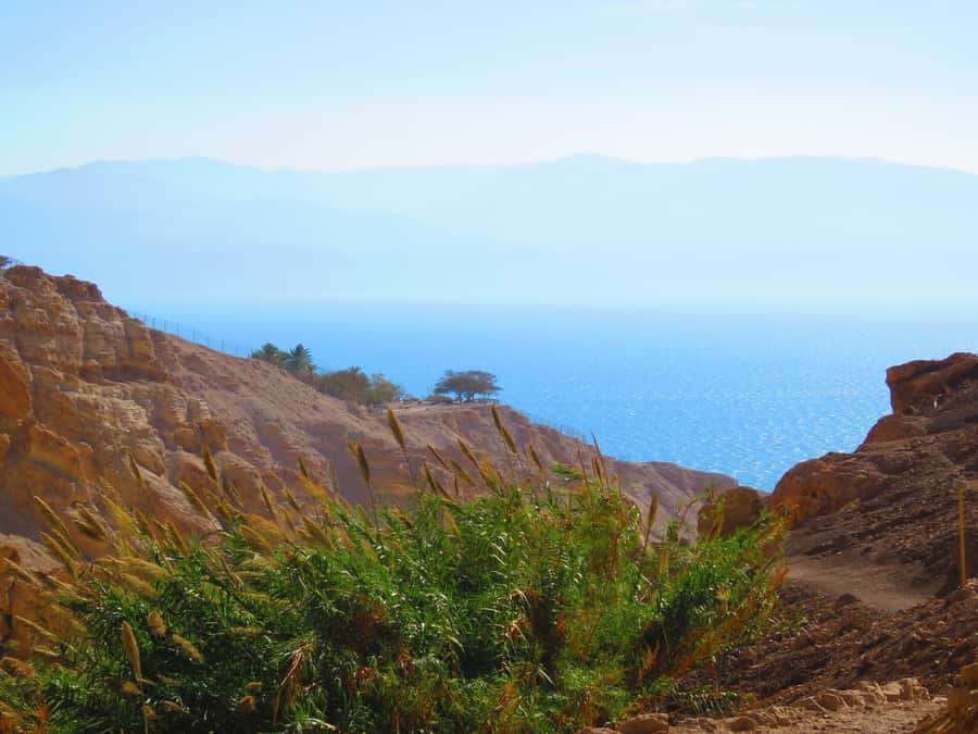 Jerusalem: Masada, Ein Gedi & Dead Sea Tour - The Dead Sea: floating, mud, and a busy finish