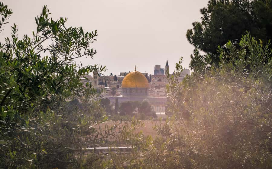 Jerusalem: Mount of Olives Guided Tour - Who should book this Mount of Olives tour?