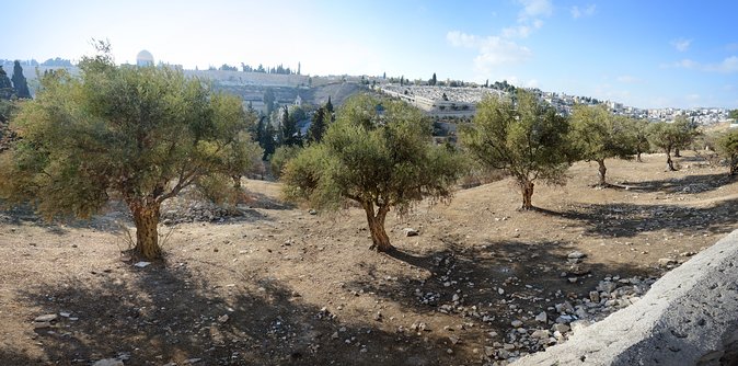 Jerusalem Old City from Tel Aviv - The Muslim Quarter and bazaar finish the Old City visit
