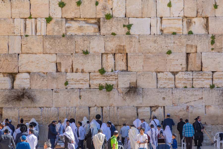 Jerusalem: Old City Morning Tour - Who should book this Old City tour