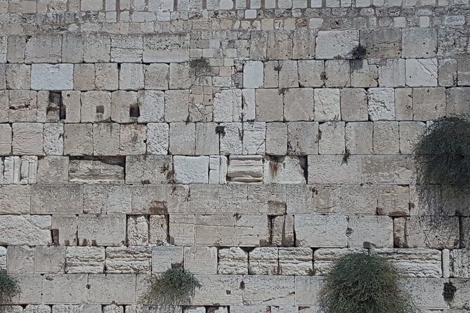 Jerusalem Private Full Day Tour - The Grotto of Gethsemane and Mary’s tomb